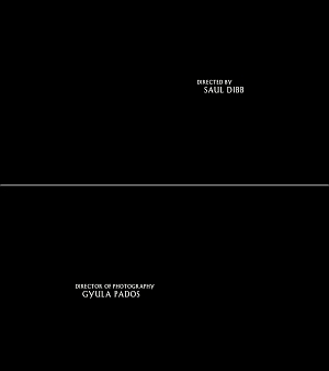 director + cinematographer