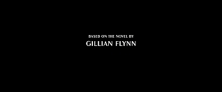 novel