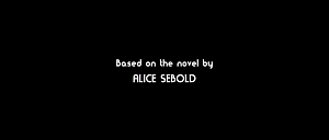 novel